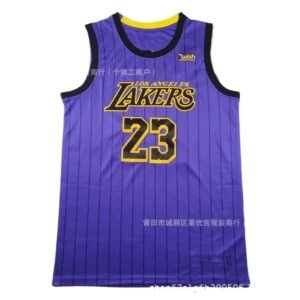 LBJ Lakers retro purple jersey