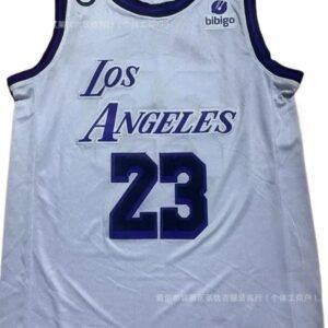 LBJ Los Angeles white and purple basketball jersey