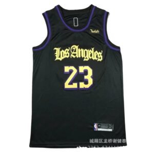 LBJ No. 23 black and purple basketball jersey.