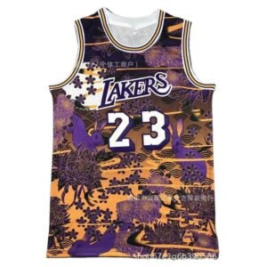 LBJ retro style purple and orange jersey
