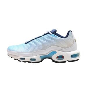 Nike Air Max Retro Blue and White Shoes