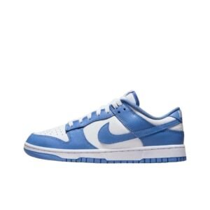 Nike Dunk Retro Blue and White Shoes