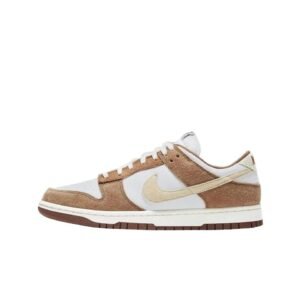 Nike Dunk Retro Brown and White Shoes