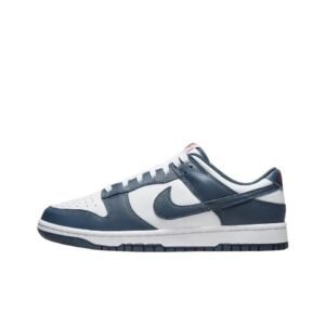 Nike Dunk retro-style blue and white shoes