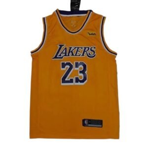 Nike LBJ series basketball jersey in orange color