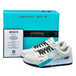 Nike low-top sneakers in a simple and minimalist style