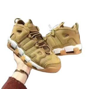 Nike Pippen Retro Brown Shoes