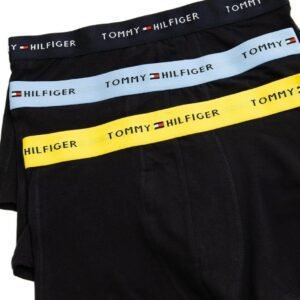 Tommy Hilfiger Color - Blocking Style Underwear