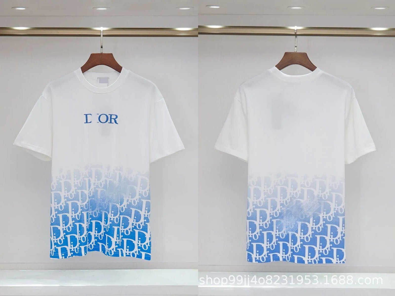 Dior Oblique Gradient Trendy Style Blue and White Short-sleeved T-shirt