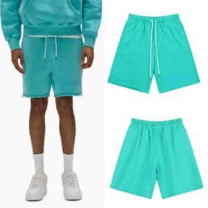 Godspeed Embroidered Street Style Lake Blue Casual Shorts