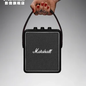 Marshall Willen Portable Speaker in Black